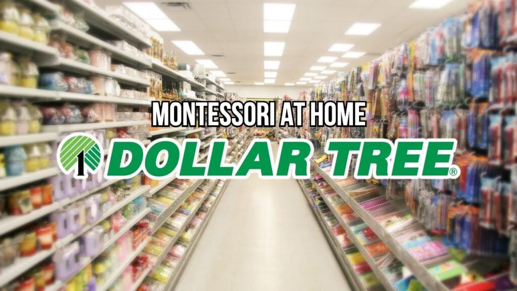 Montessori at Home Using Materials and Activities from the Dollar Tree