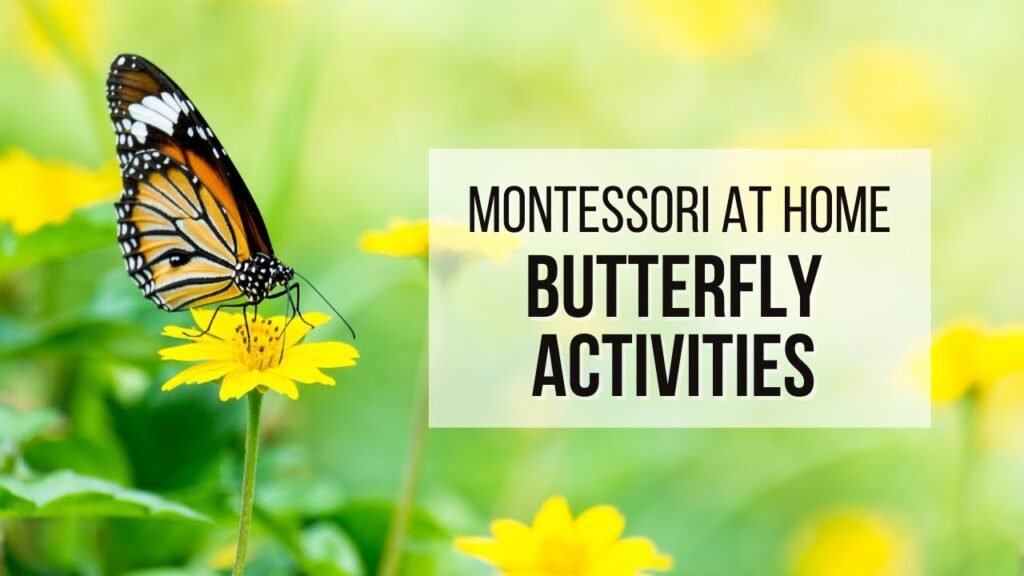 Montessori Butterfly Activities for Toddlers and Preschool