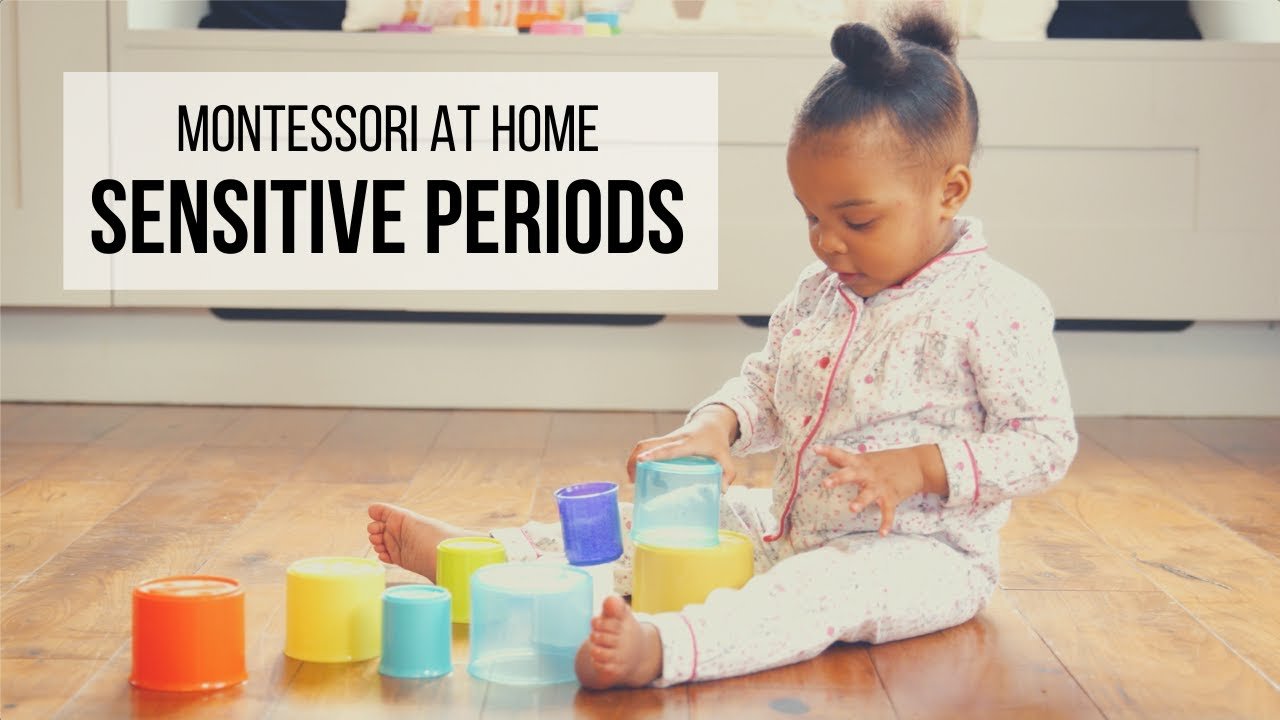 Montessori At Home: Sensitive Periods