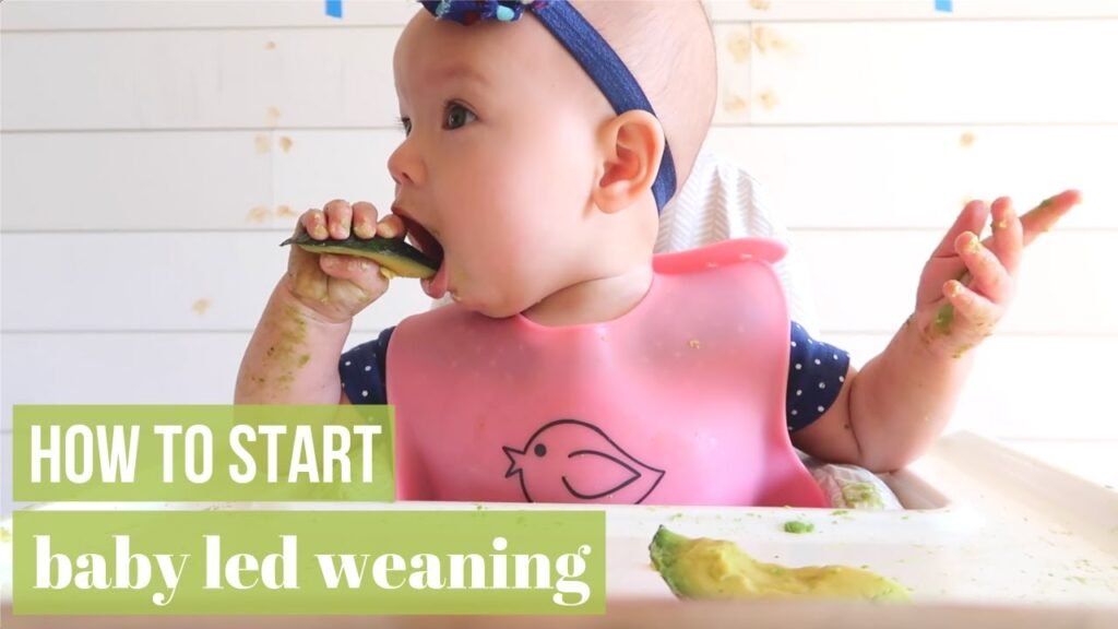 Baby Led Weaning: Introducing Solid Finger Foods to Your Baby
