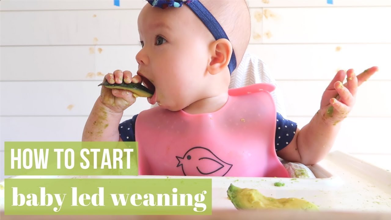 baby led weaning introducing solid finger foods to your baby