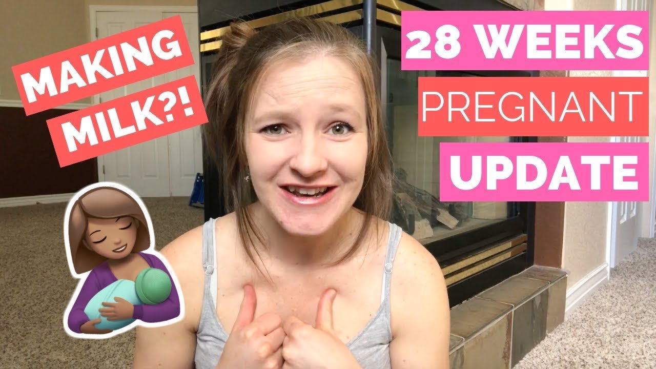 Hapa Family Pregnancy Update // 28 Weeks & Belly Shot